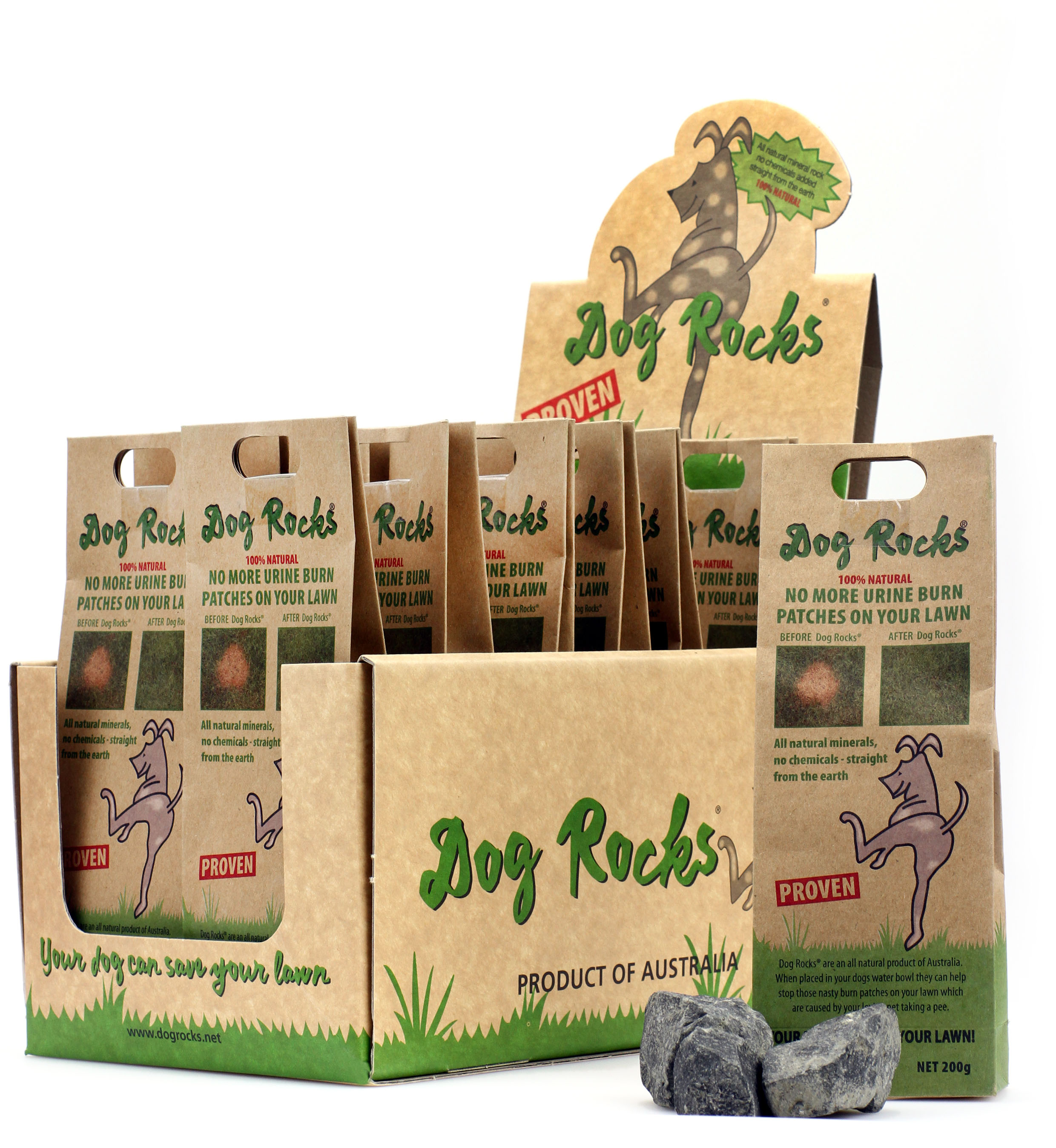 Dog Rocks Review + Giveaway - Laurali's Blog